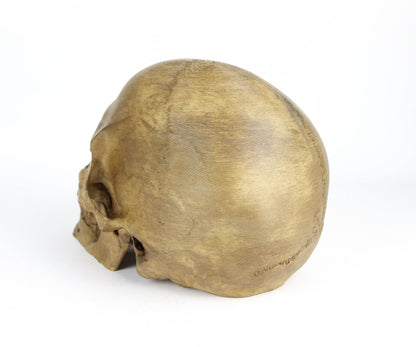 Aged Human Skull Decor, Lifesize Horror Prop, Headphone Holder Decoration