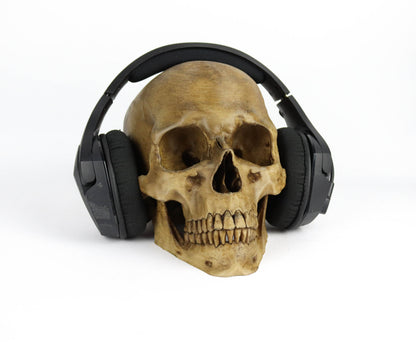 Aged Human Skull Decor, Lifesize Horror Prop, Headphone Holder Decoration